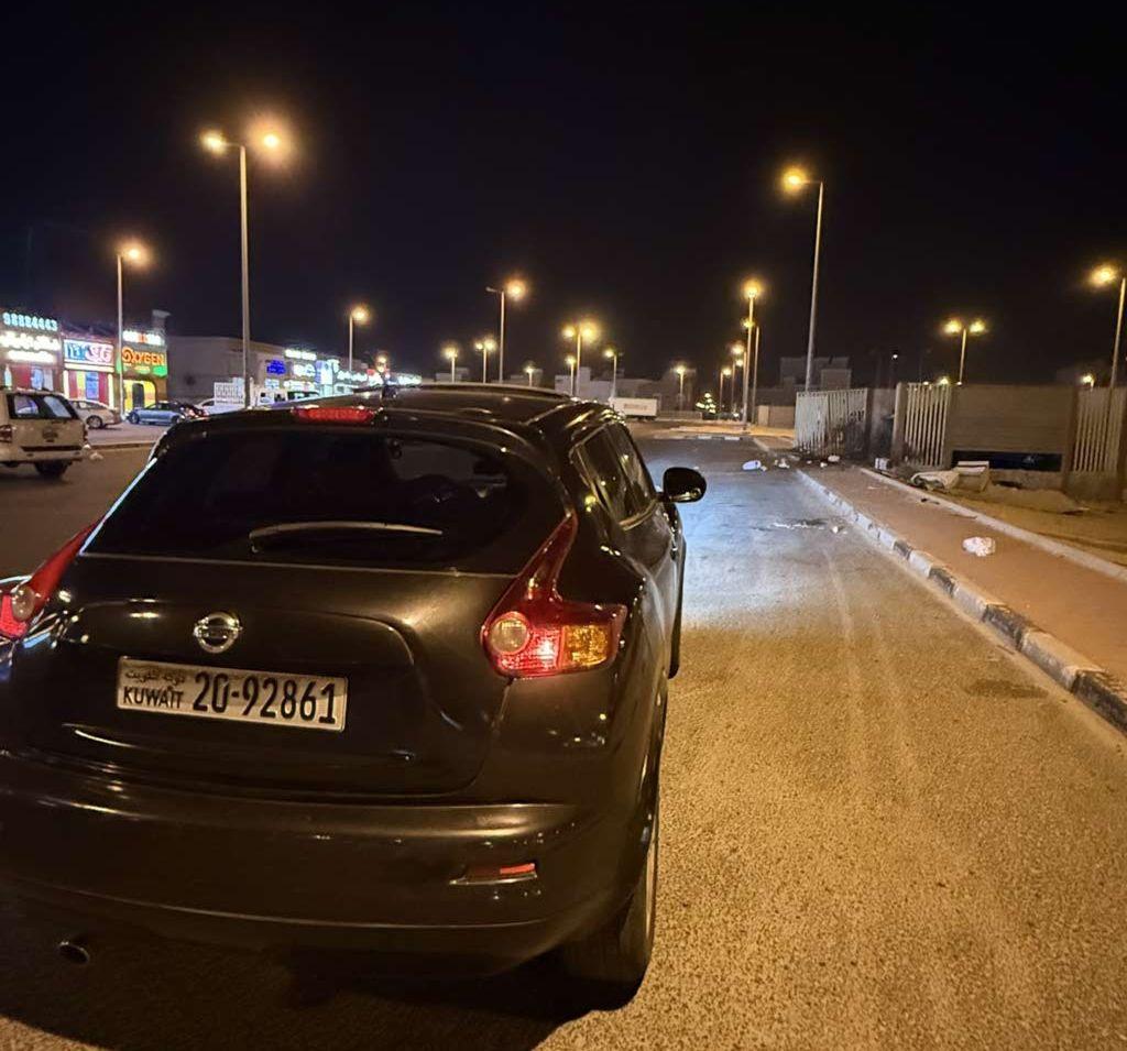 2013 نيسان جوك