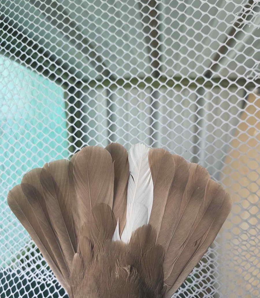 حمام كوره