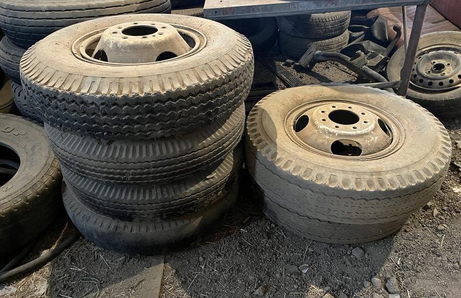 جنوط جمس استيك