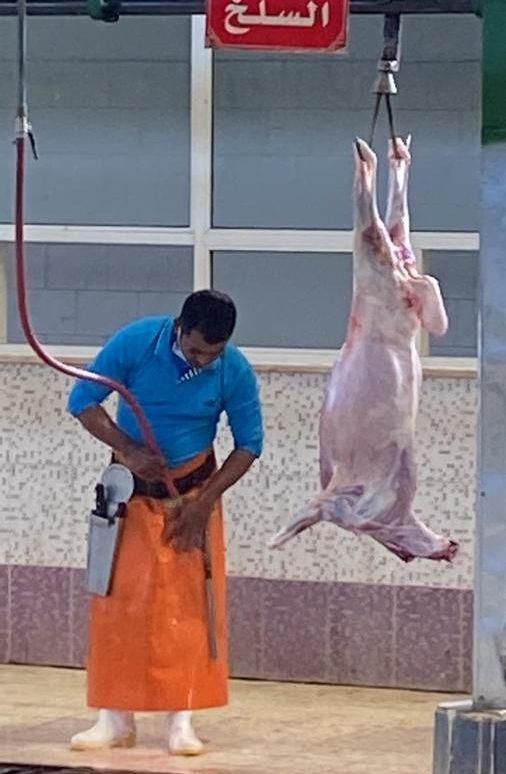 طلي حري ذبايح