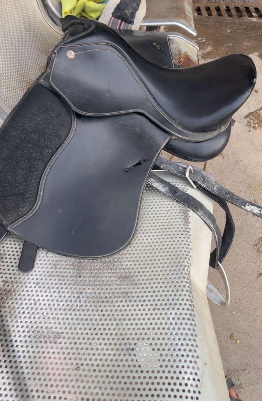 سرج نضيف