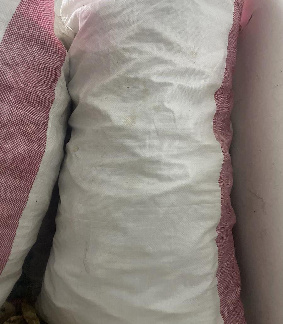 خبز