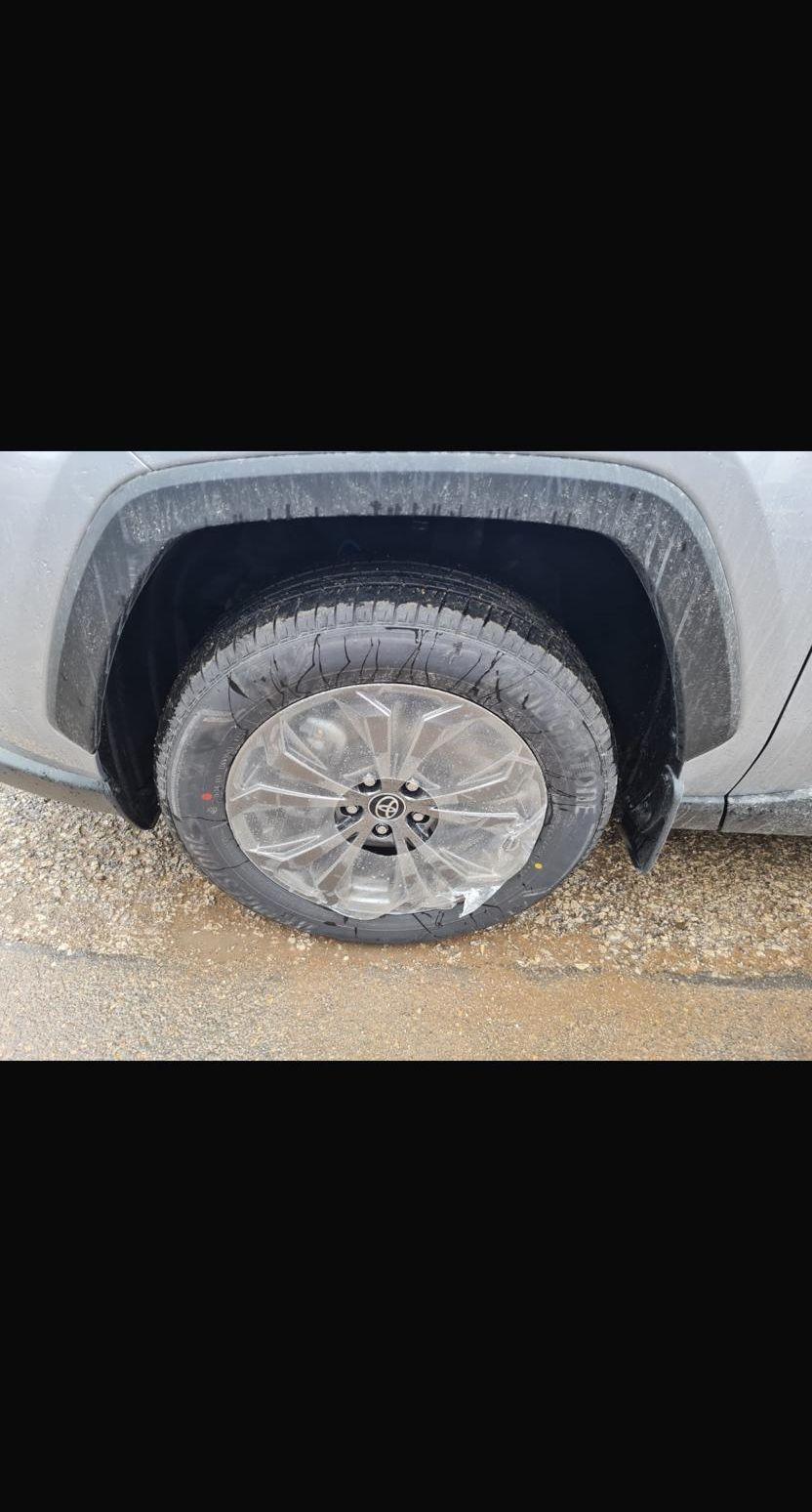 راف فور XLE