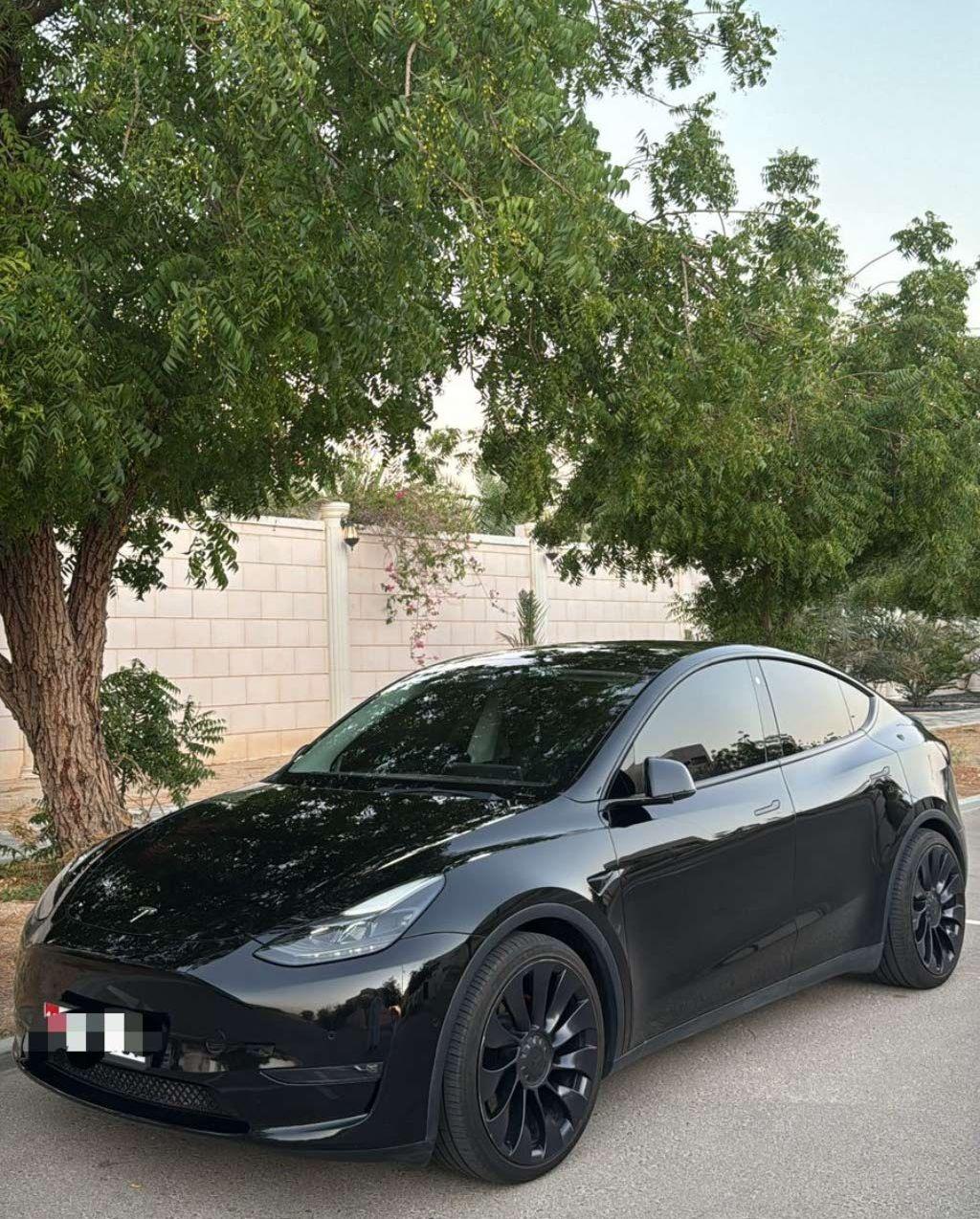 2022 تيسلا موديل