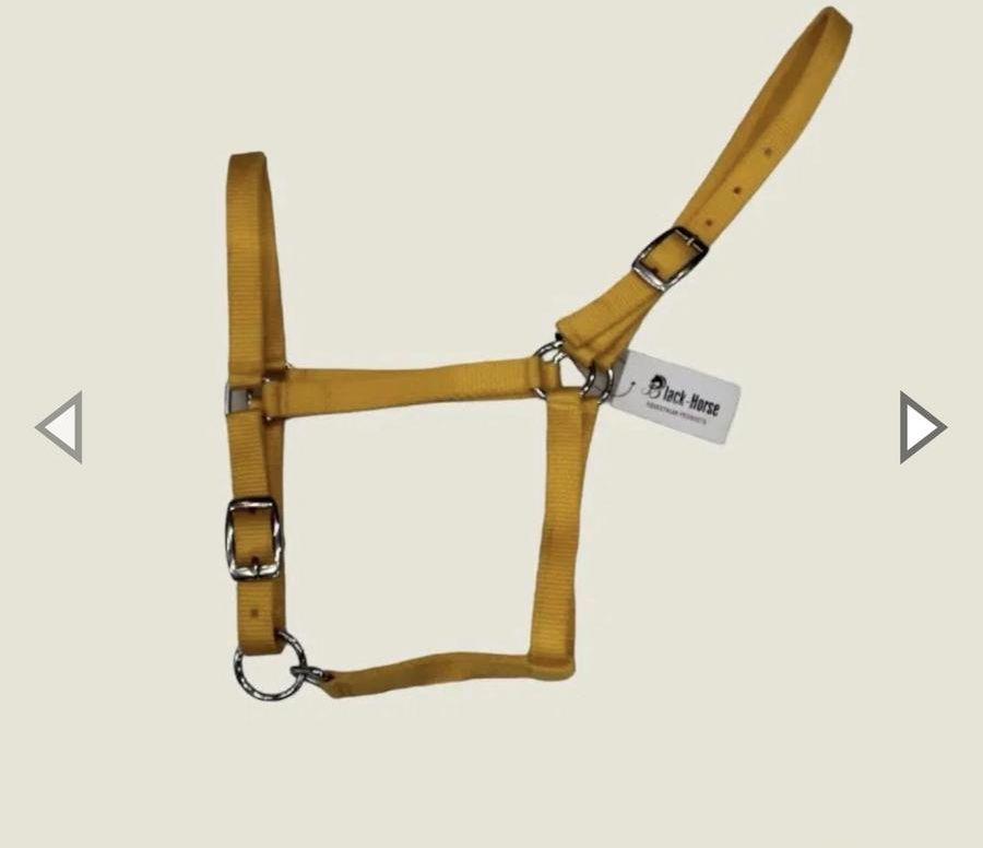 متجر دهر لمستلزمات