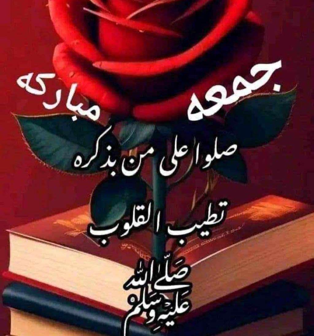 محل للبيع ابوبكر