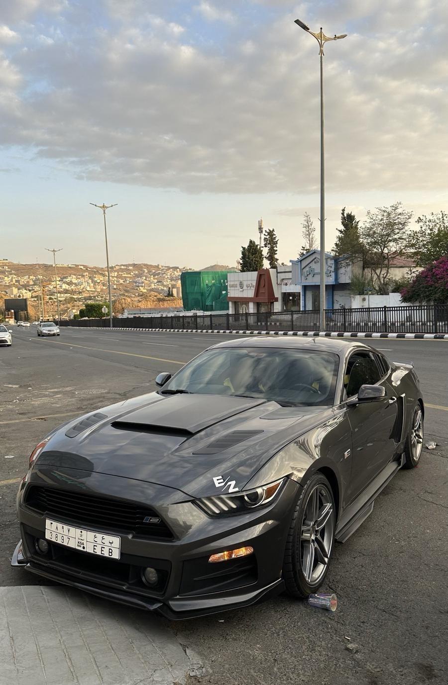 موستنج روش 2015