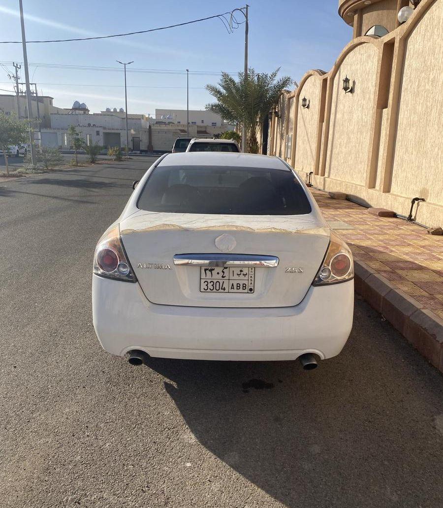 التيماء 2010