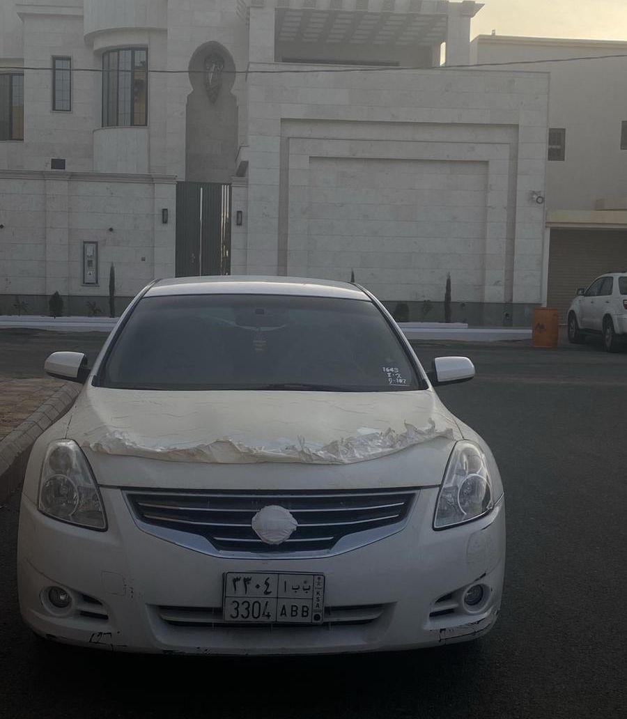التيماء 2010