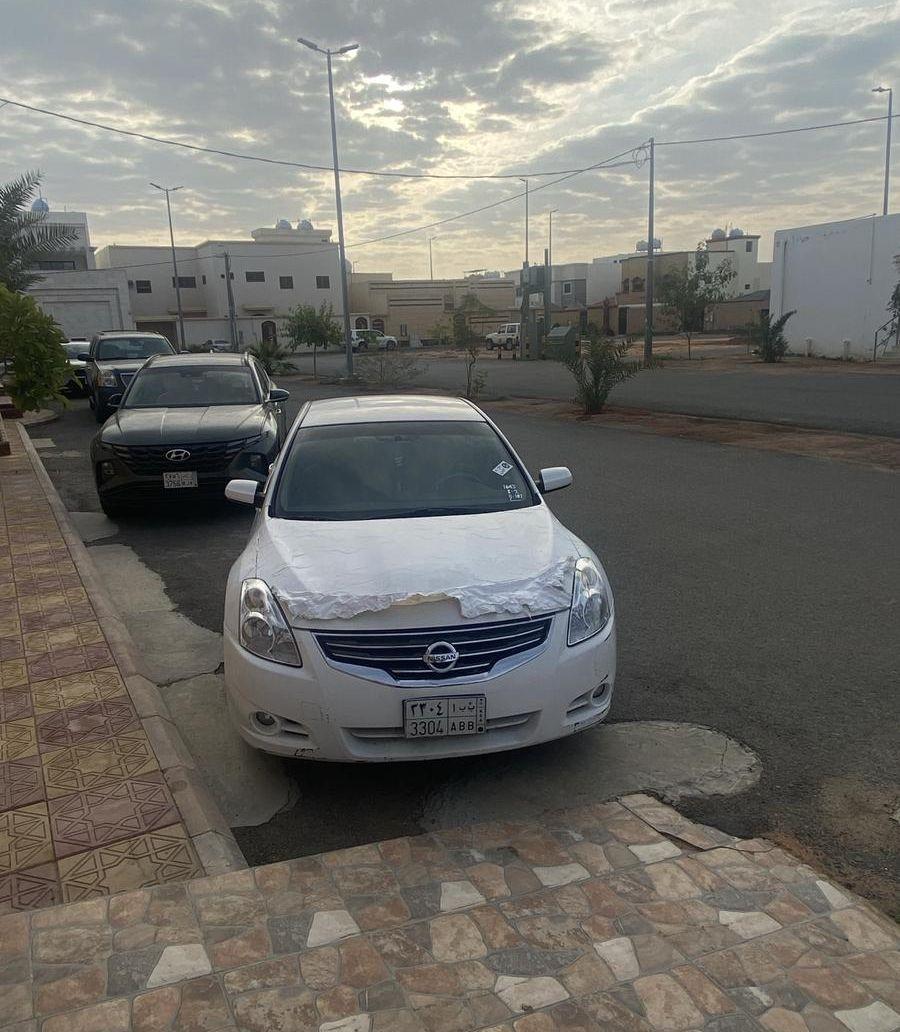 التيماء 2010