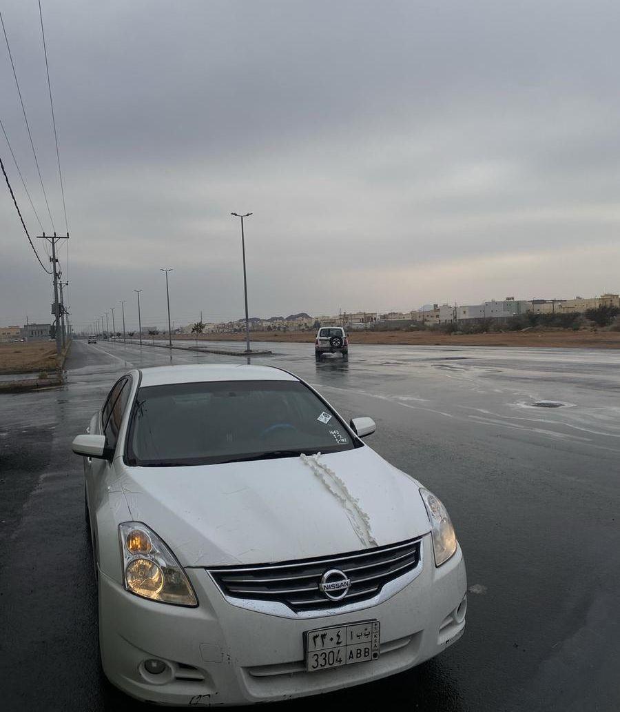 التيماء 2010