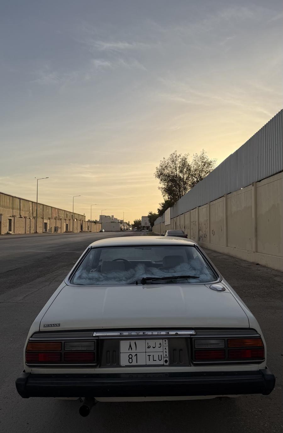 جيتي سكايلاين 1981