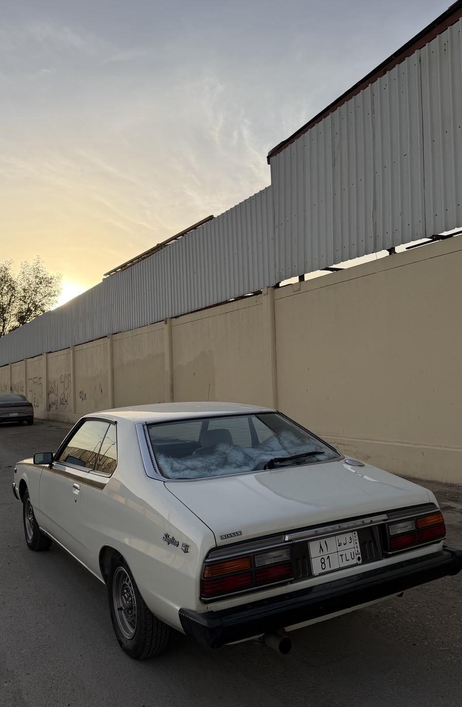 جيتي سكايلاين 1981