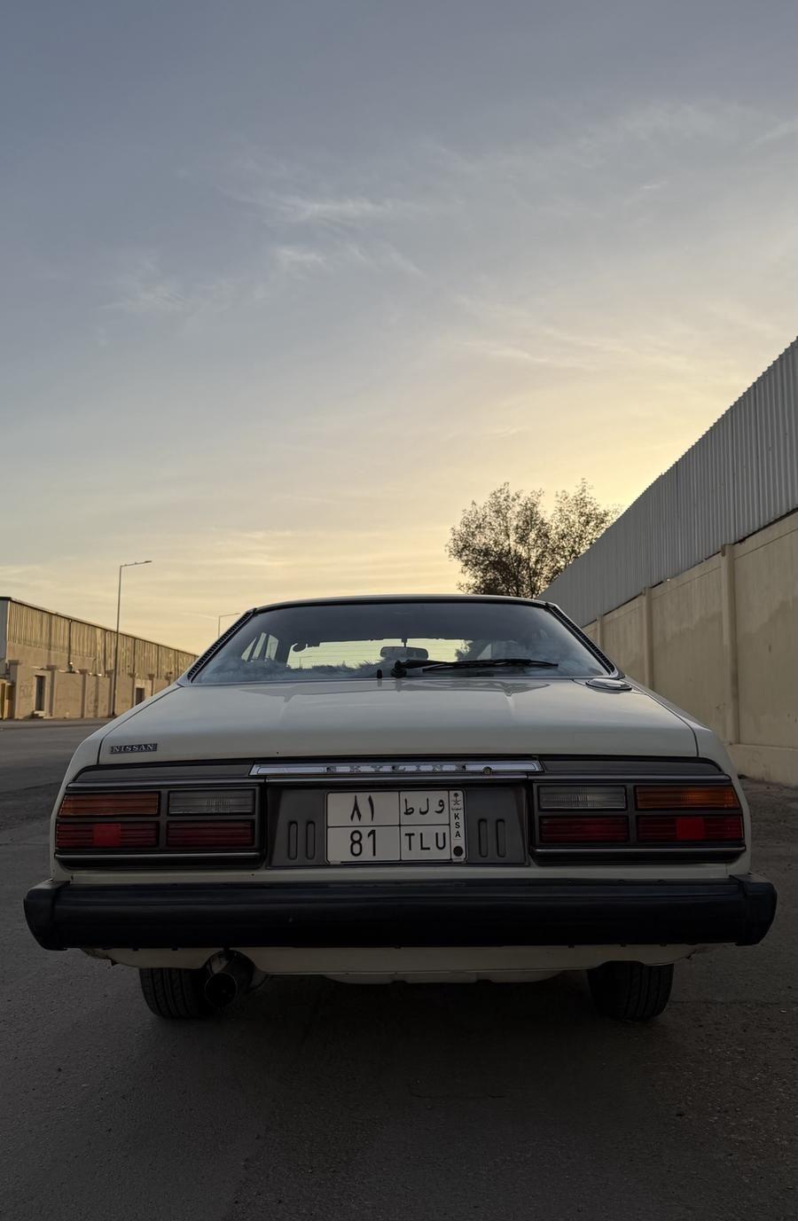 جيتي سكايلاين 1981