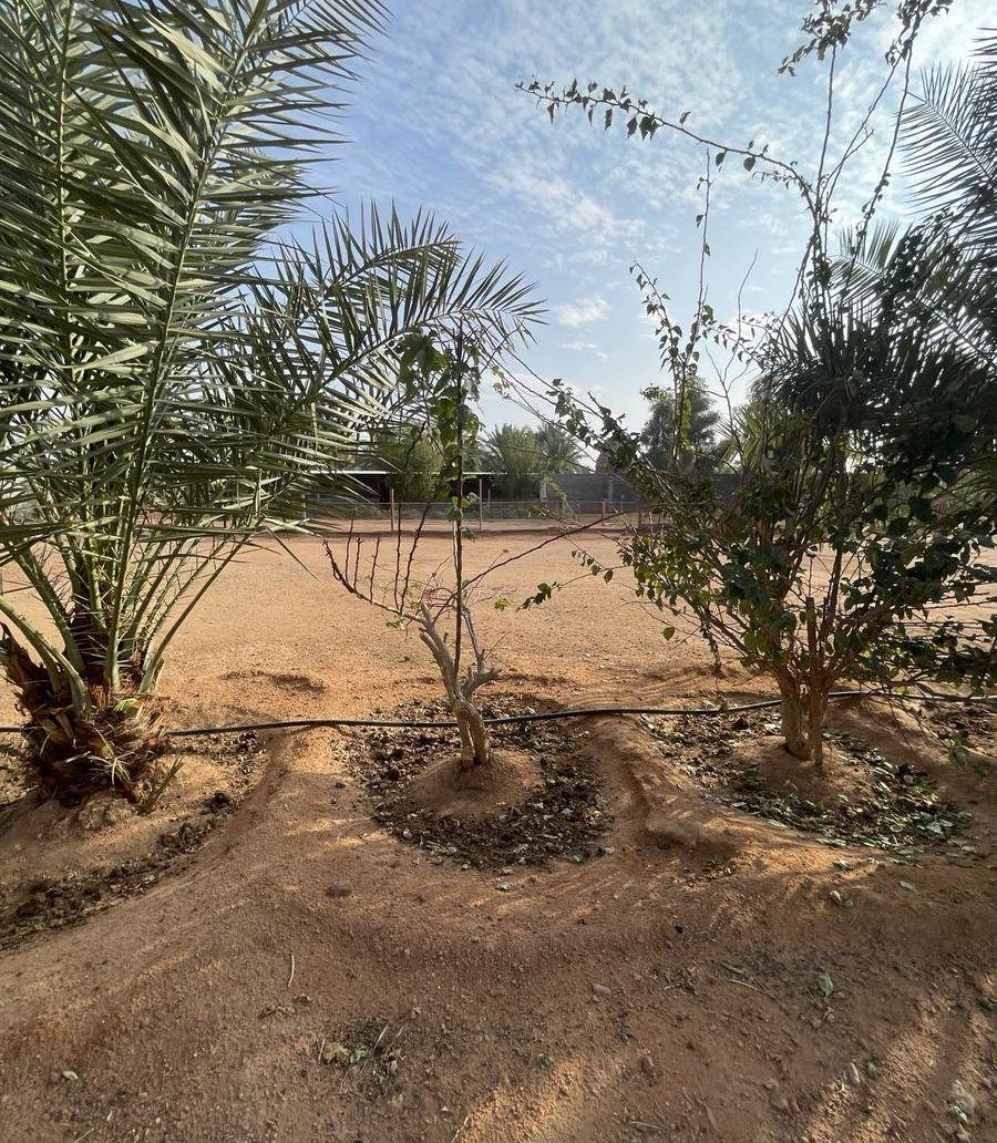 للبيع مزرعة او