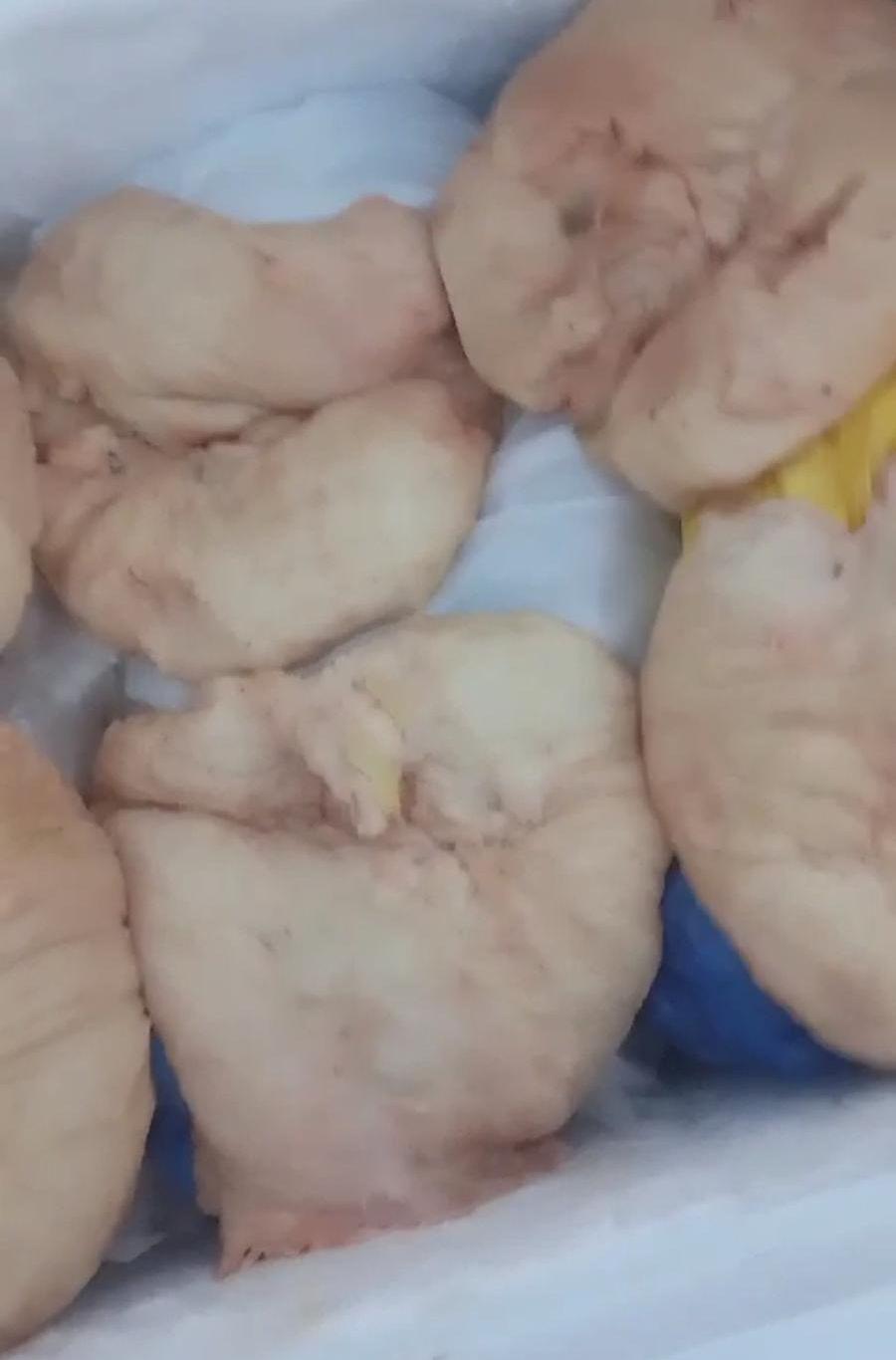 يتوفر لدينا جميع