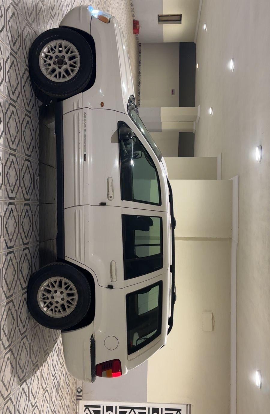 شروكي 2003