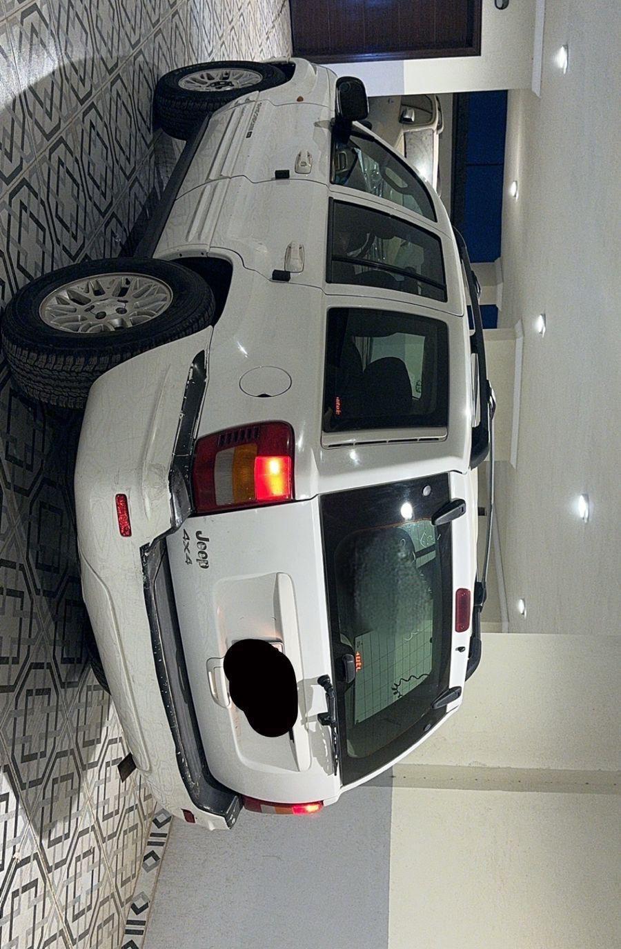 شروكي 2003
