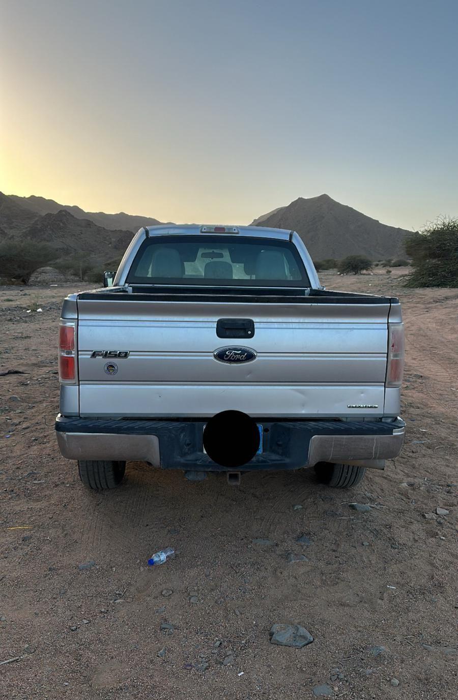 فورد f150