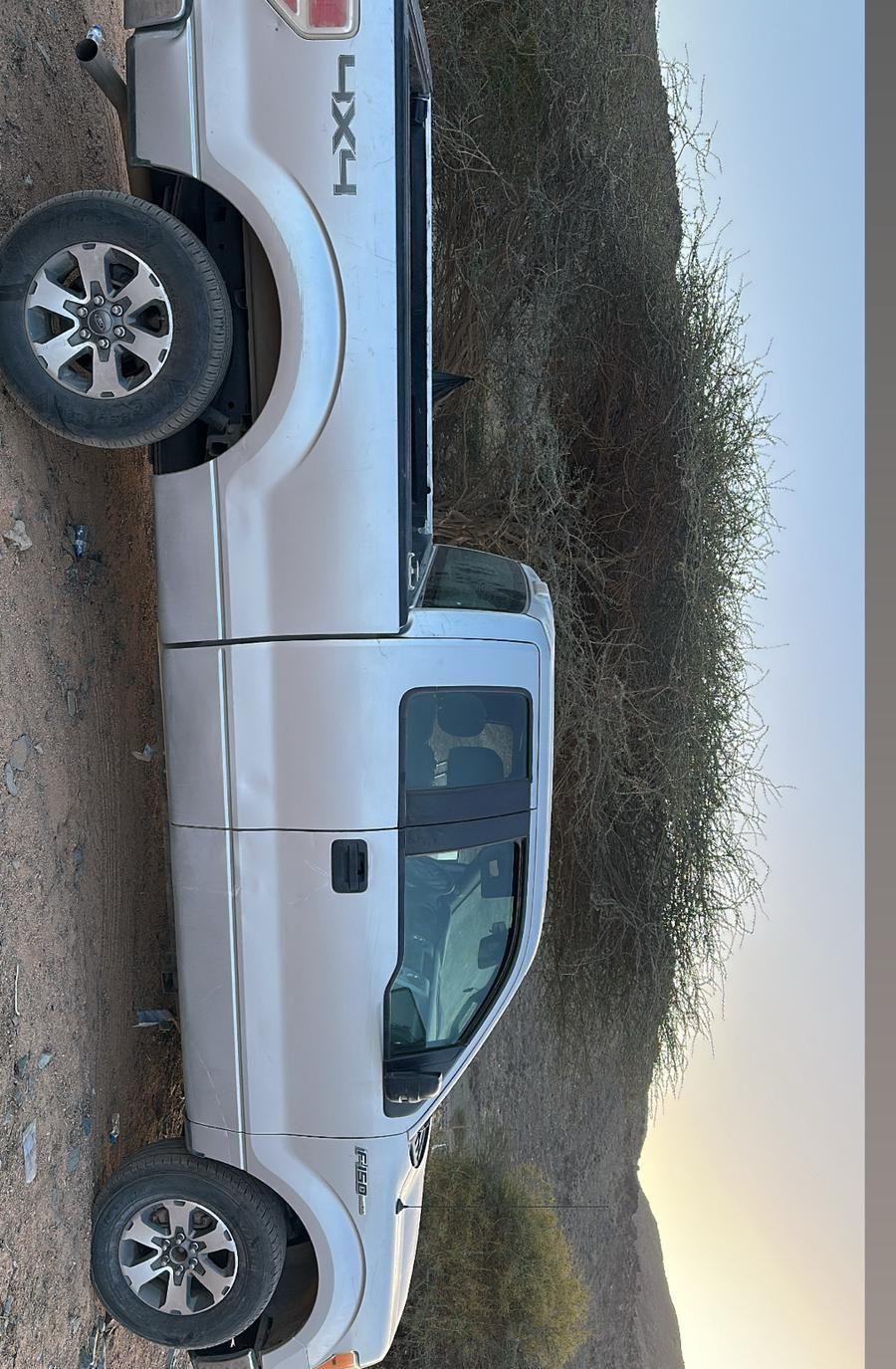 فورد f150