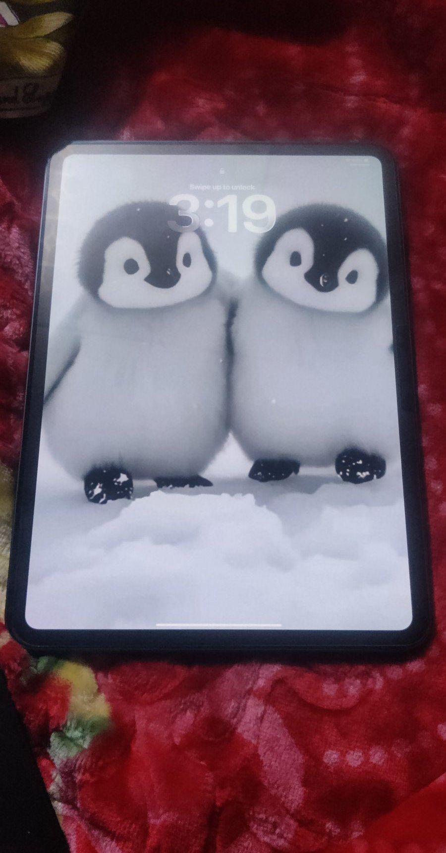 ipad pro 2024