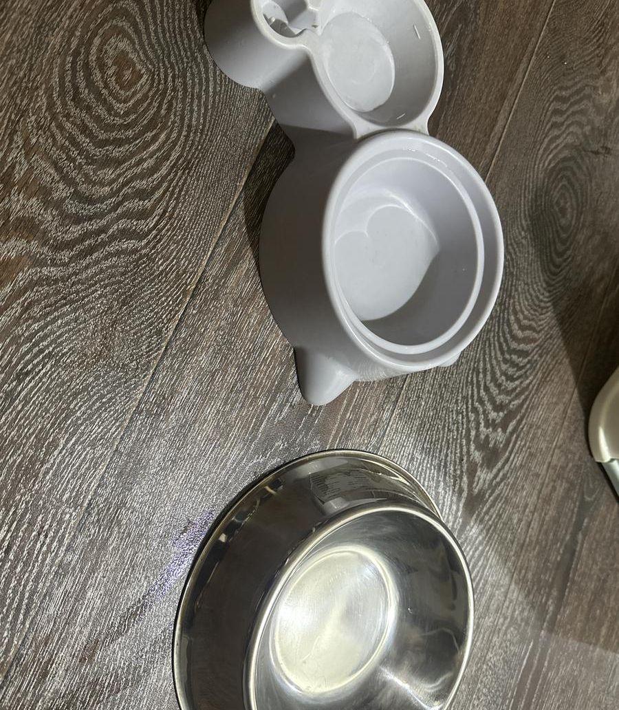 لوازم قطط