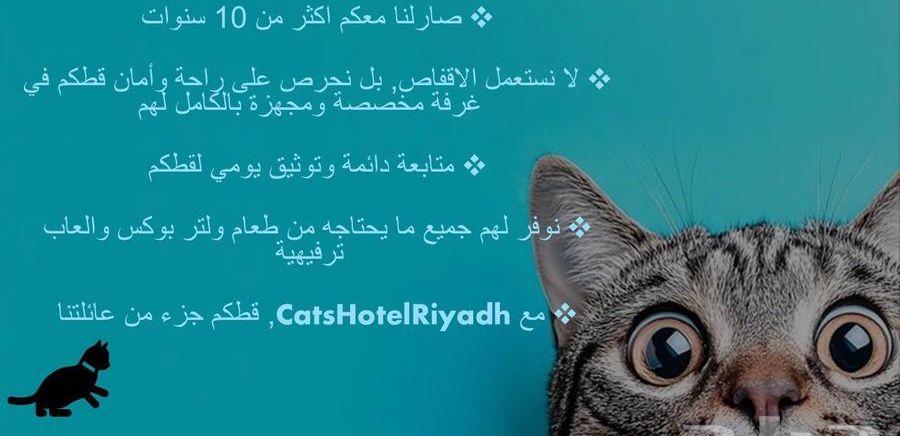 فندقة قطط في