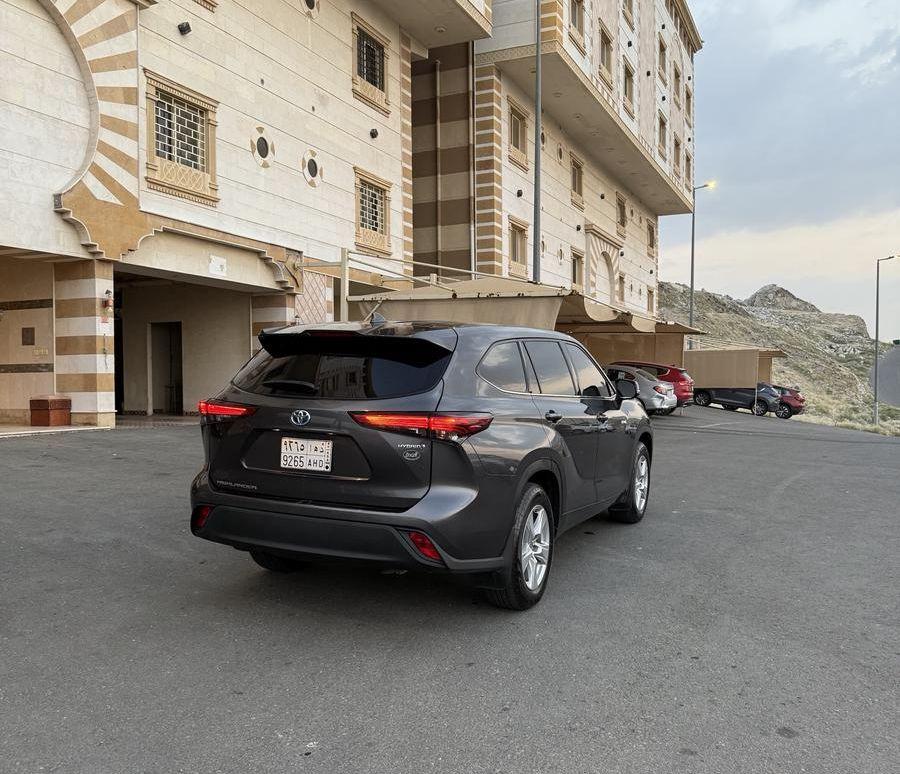 هايلاندر