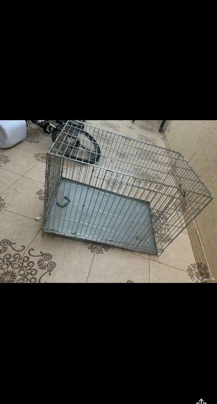 بيت للكلاب والقطط