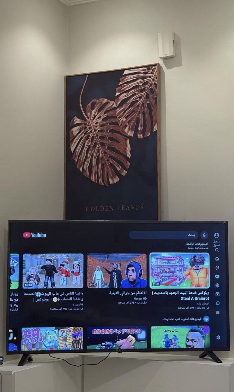 تلفزيون