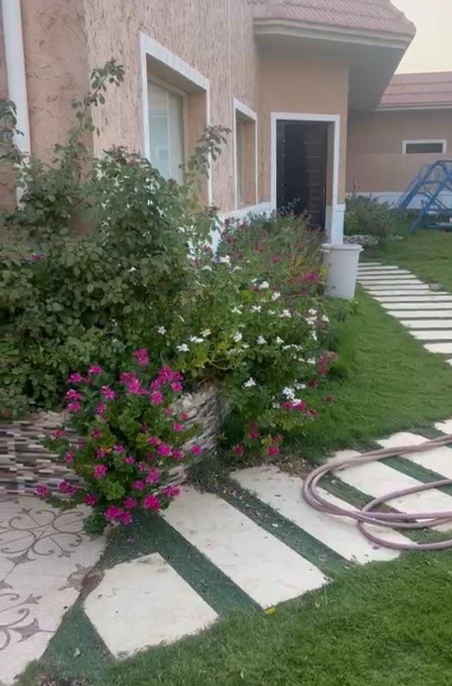 منتجع بحي الودي
