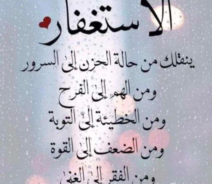 زاجل سباق يوجد
