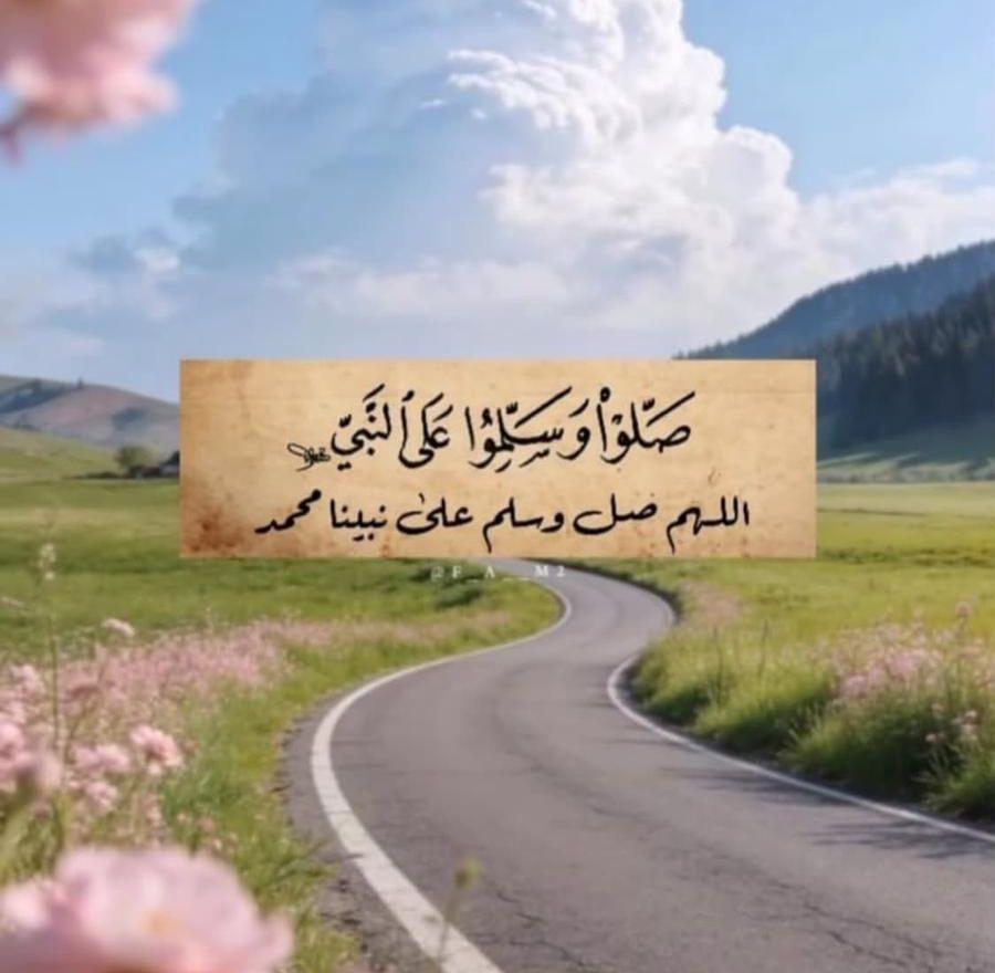 زاجل سباق يوجد