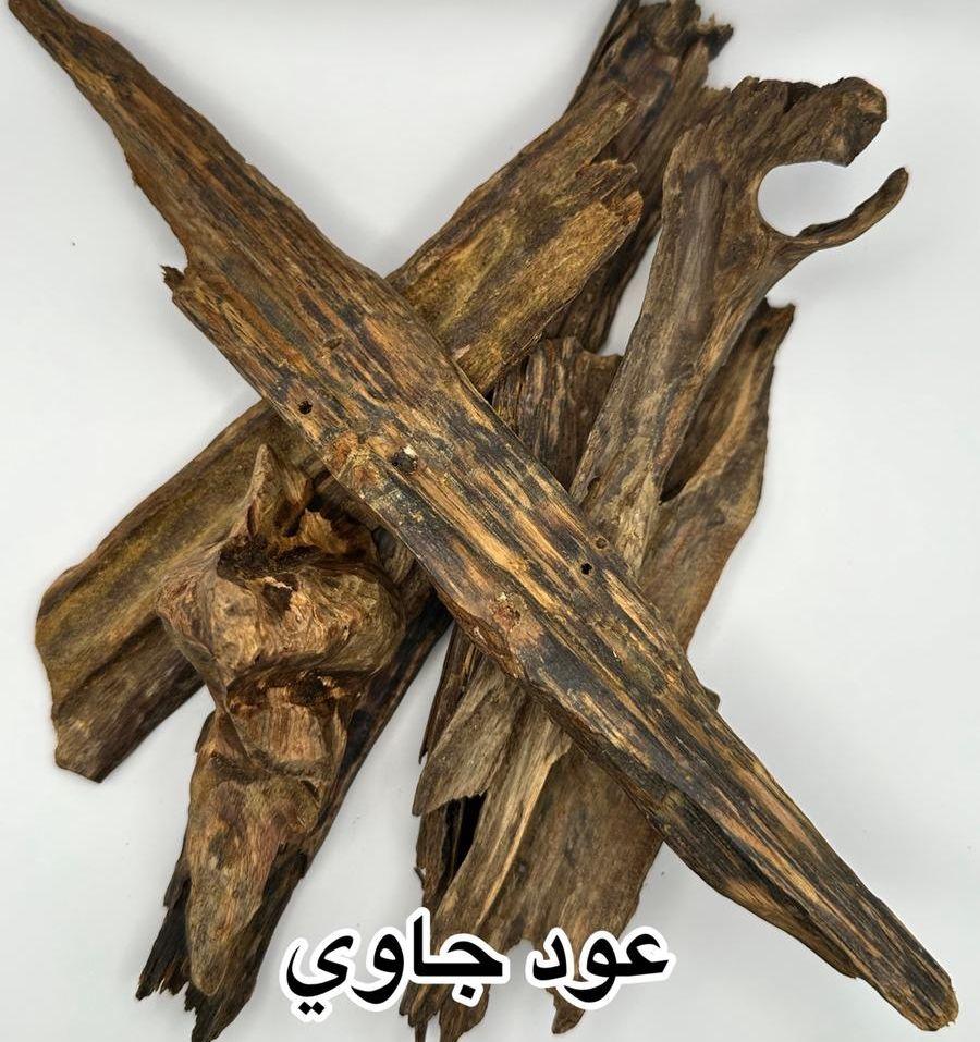 عود جاوي وموركي