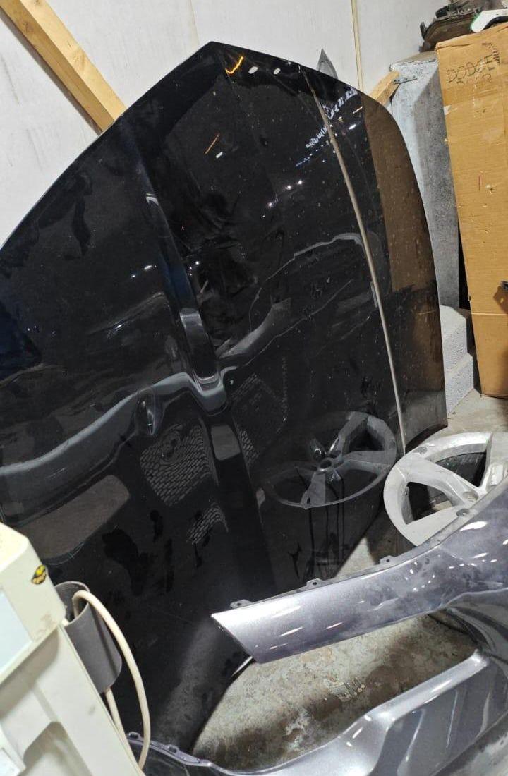 كبوت كمارو 2015