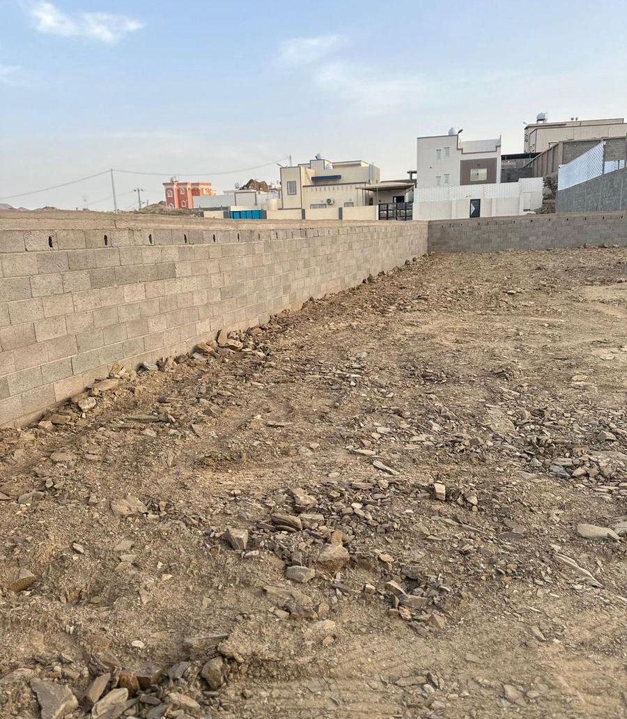 شوحط ب 300