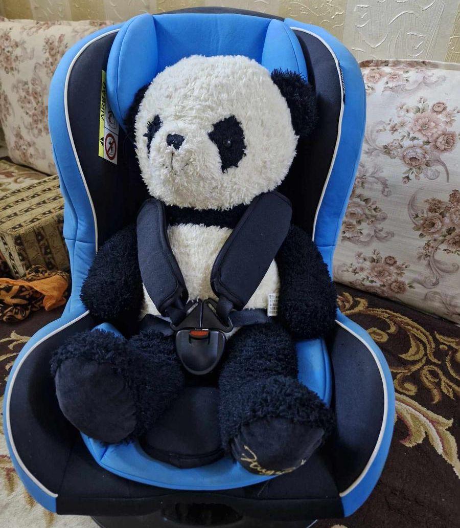 car seats for