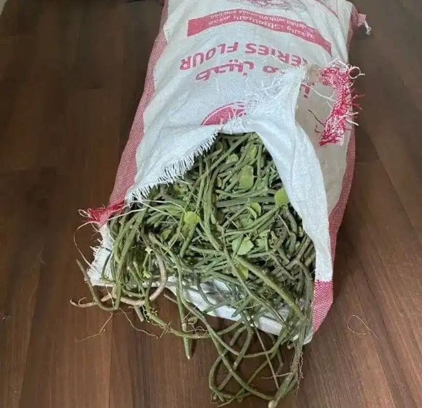 مرخ وسلع