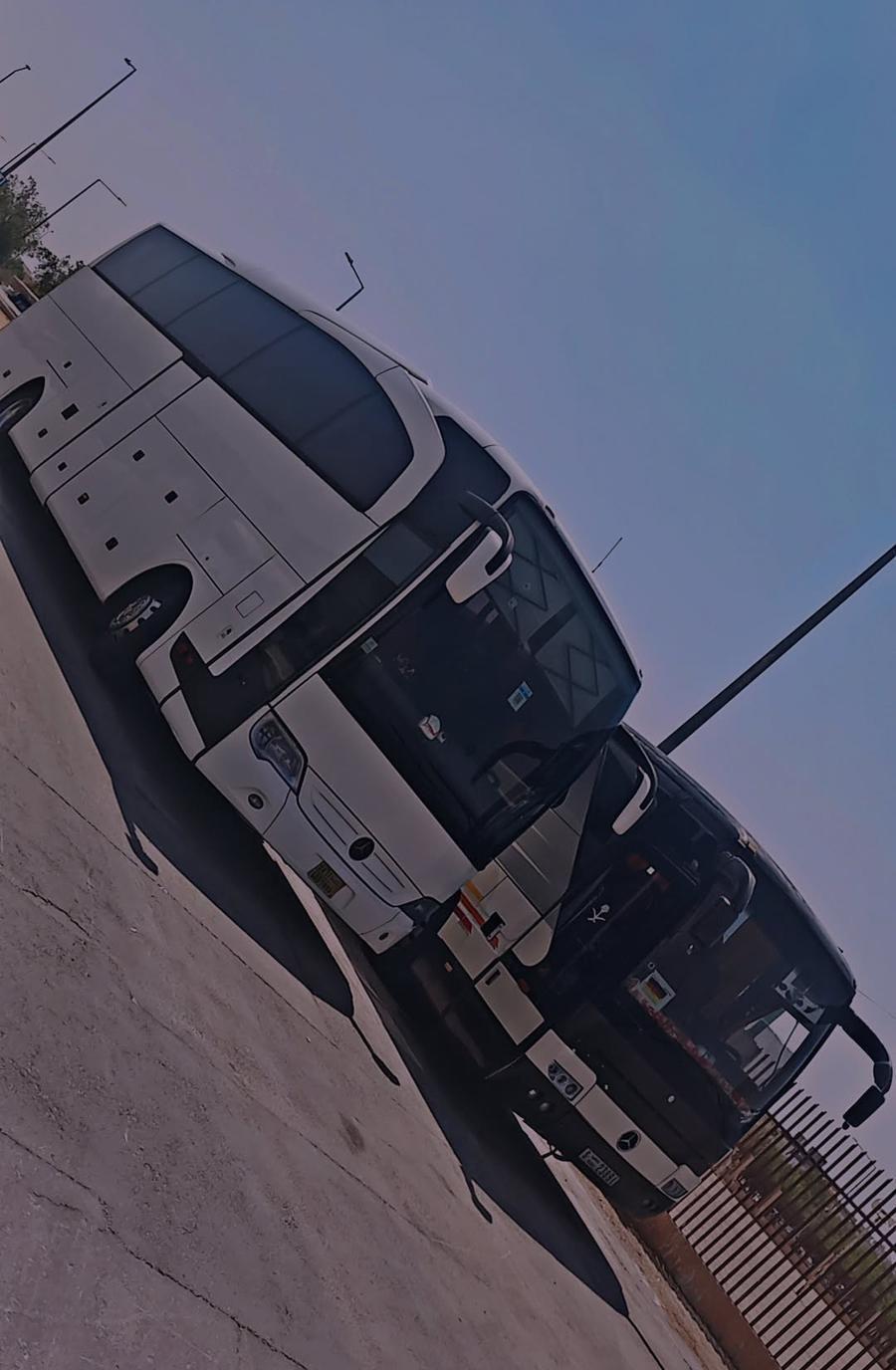 باصات للايجار