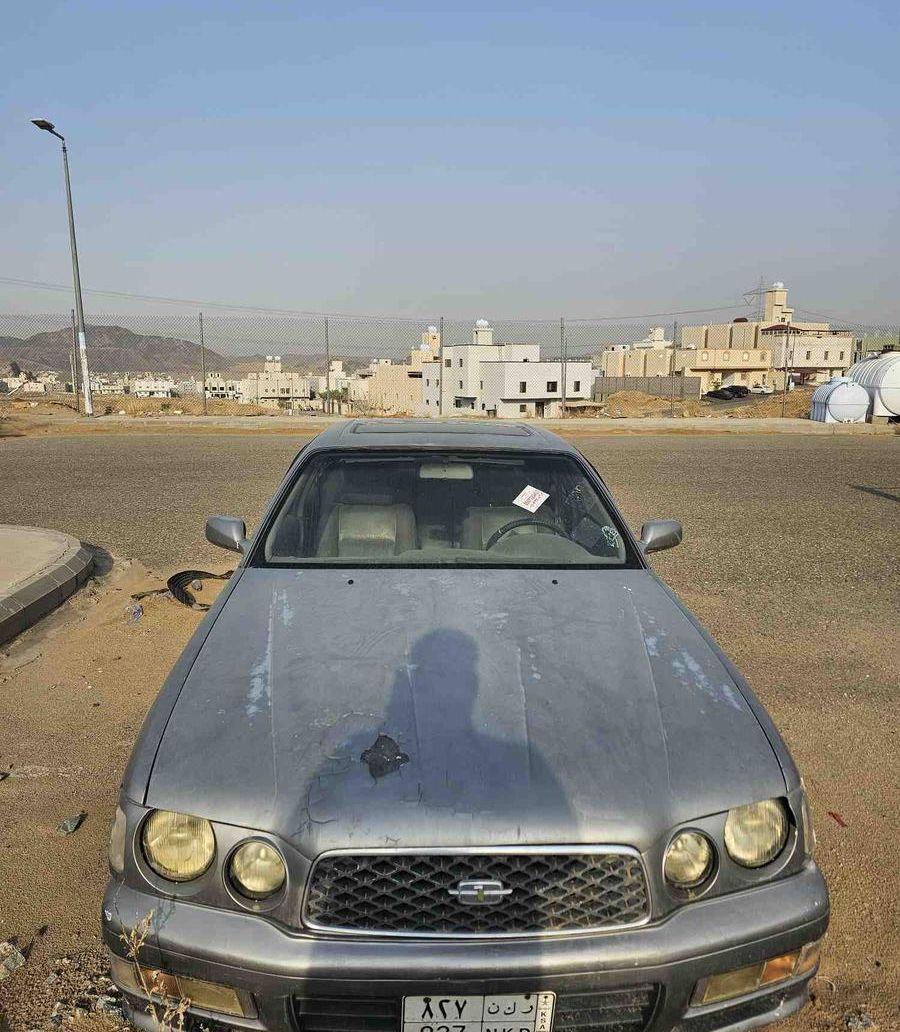 نسيان جلوريا لوحة