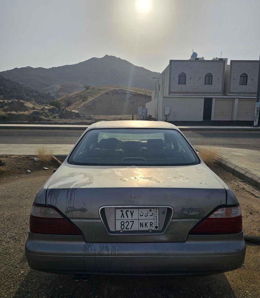 نسيان جلوريا لوحة