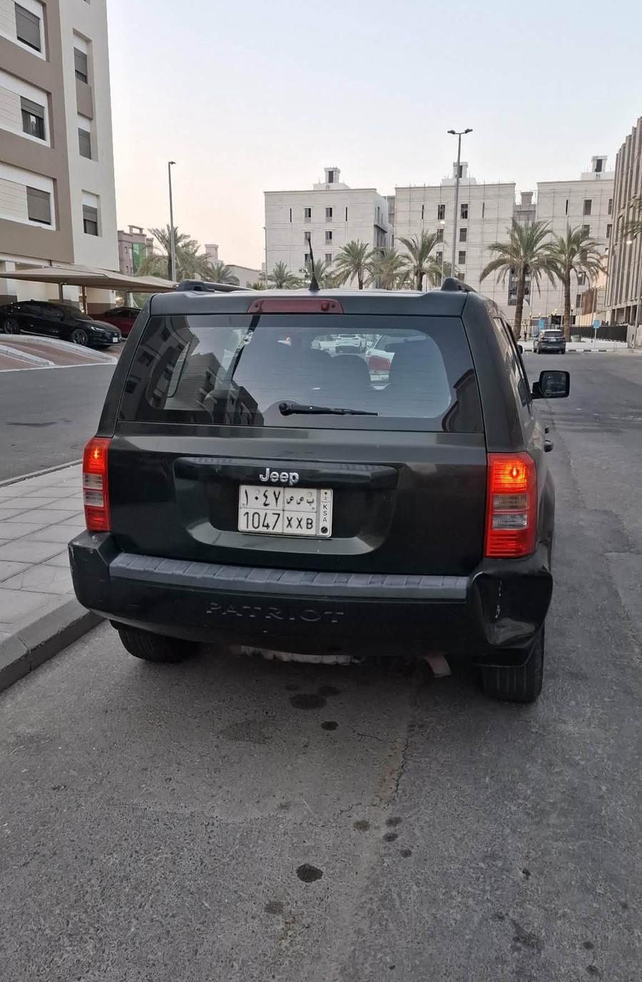 جيب باتريوت 2010