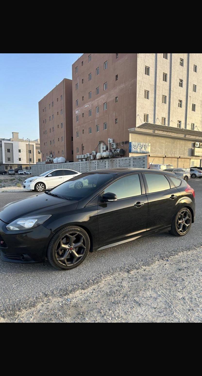 بعير فحل رباع