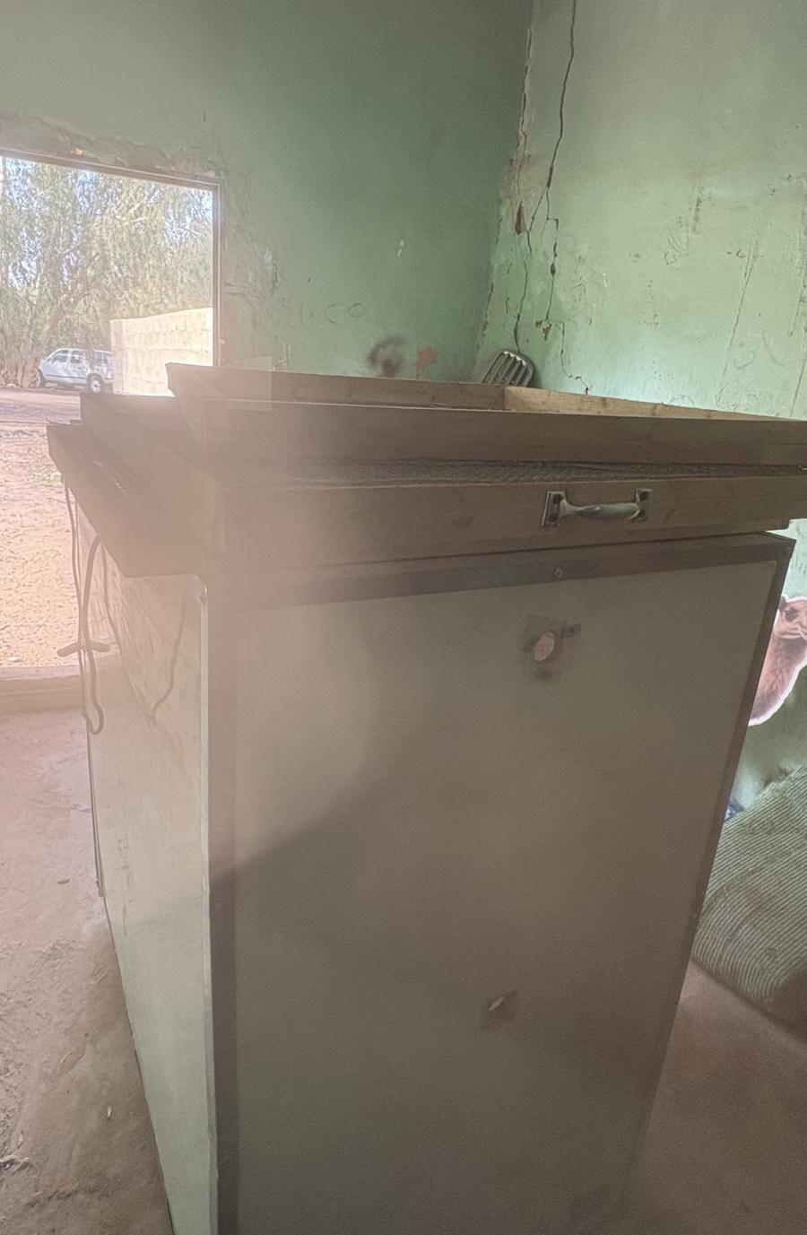 فقاسه بيض