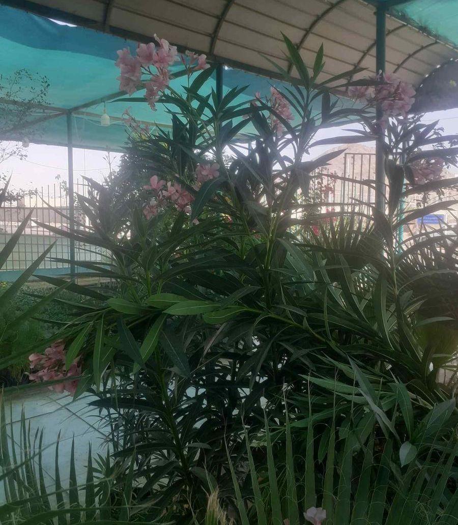 معلم زراعه جميع