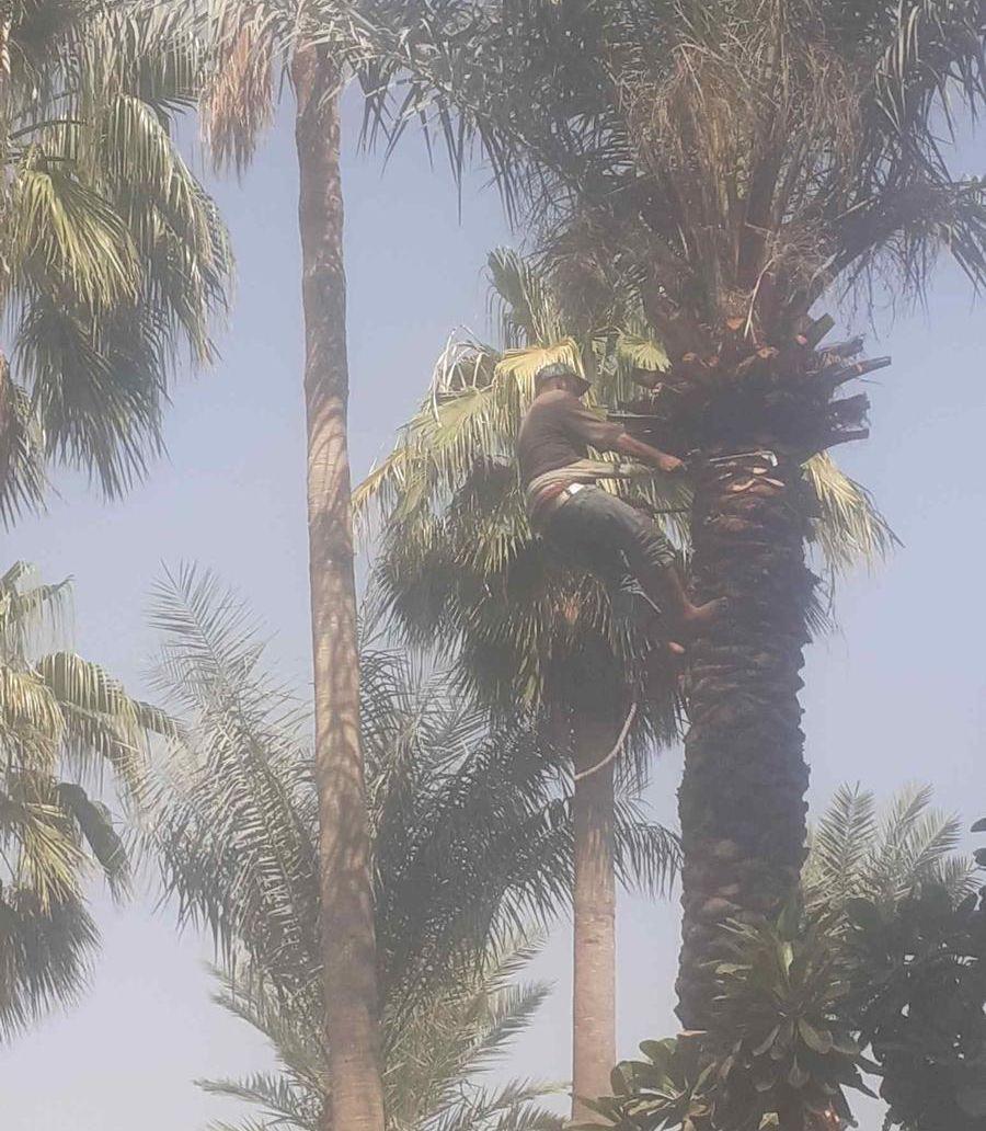 معلم زراعه جميع