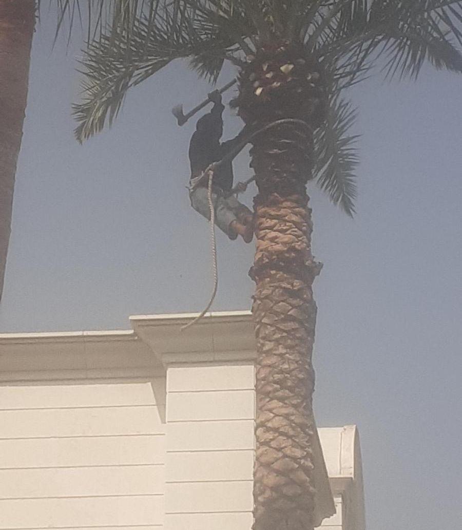 معلم زراعه جميع