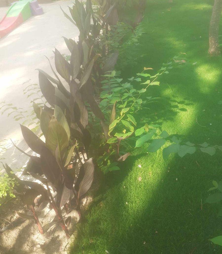 معلم زراعه جميع