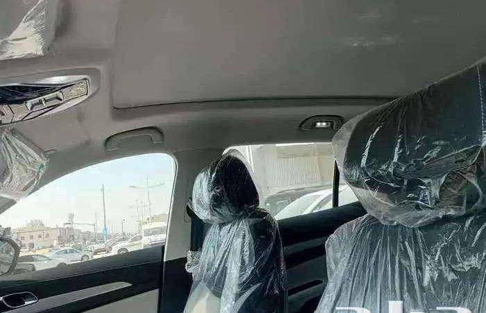 فورد تريتوري -