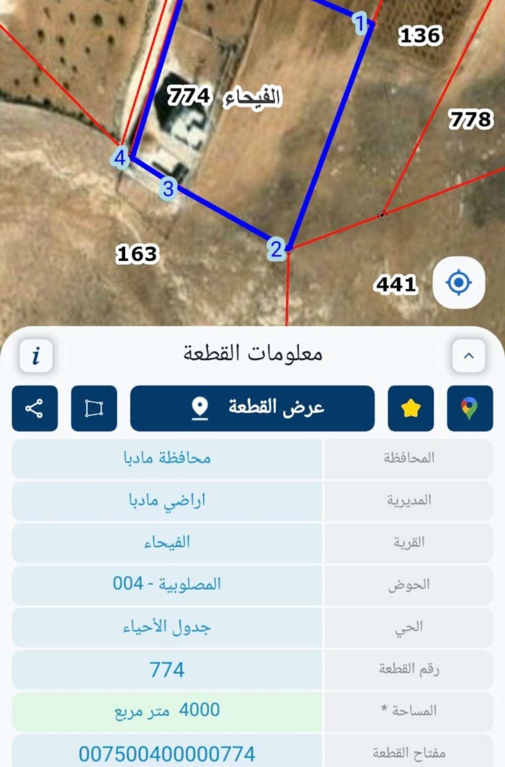 مادبا الفيحاء حوض